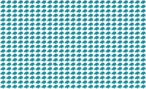 Cinquecento Cinquecento